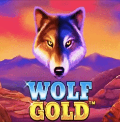Wolf Gold Pragmaticplay Tragamonedas en Locowin Casino